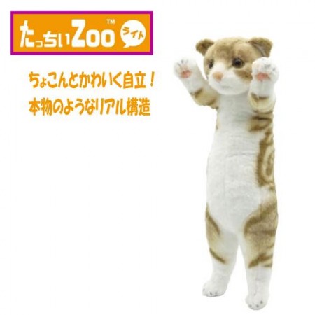 Touch Zoo 蘇格蘭折耳貓 站立 毛絨玩具 中型