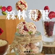 零嘴時刻 元氣堅菓燒 全素 無麩質 森林莓菓