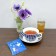 Karel Capek 山田詩子 夏季限定 冷泡茶 ICE & HOT 經典特調紅茶 5P