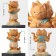 猫 buddha 阿修羅