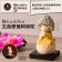 猫 buddha 五劫思惟阿彌陀